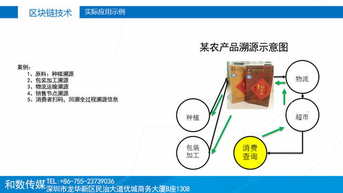 傳統產業融入區塊鏈 和數軟件如何以技術賦能，穩健前行